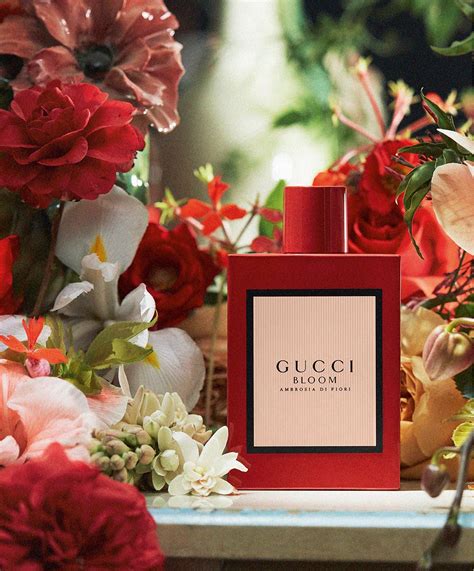 gucci bloom 香 评|古驰 花悦馥意 Gucci Bloom Ambrosia di Fiori.